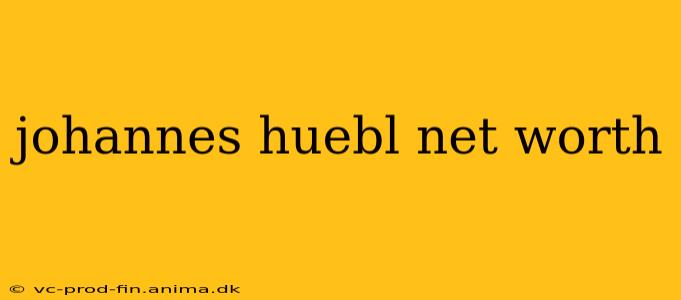 johannes huebl net worth