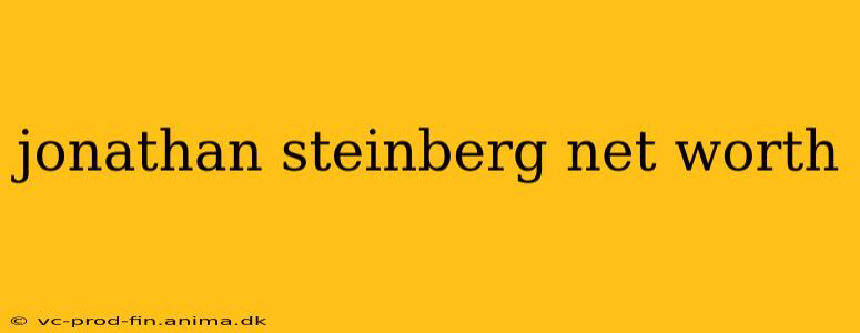 jonathan steinberg net worth