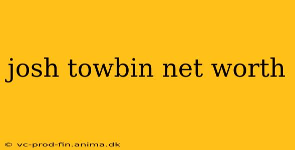 josh towbin net worth