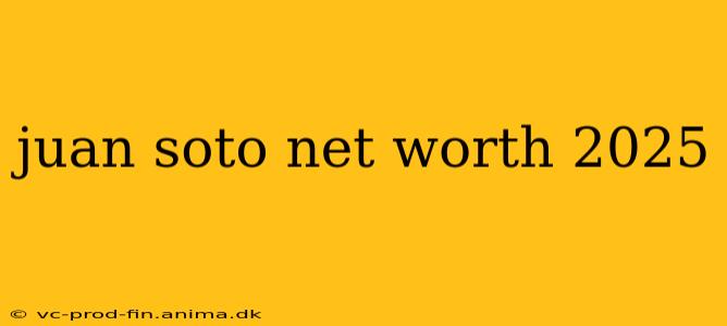 juan soto net worth 2025