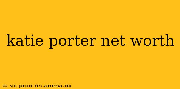 katie porter net worth