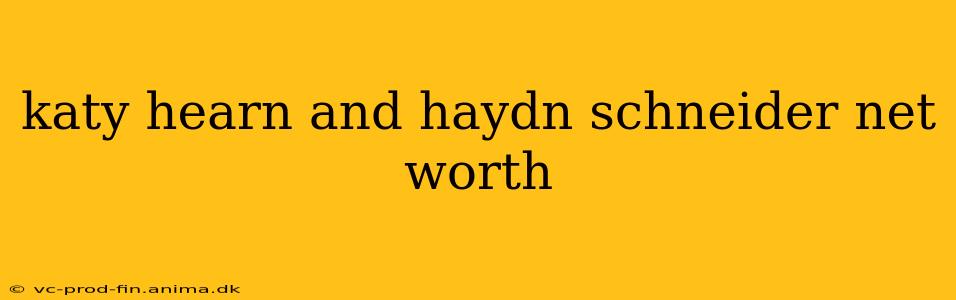 katy hearn and haydn schneider net worth