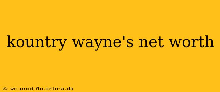 kountry wayne's net worth