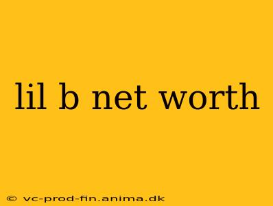lil b net worth