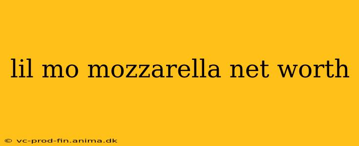 lil mo mozzarella net worth