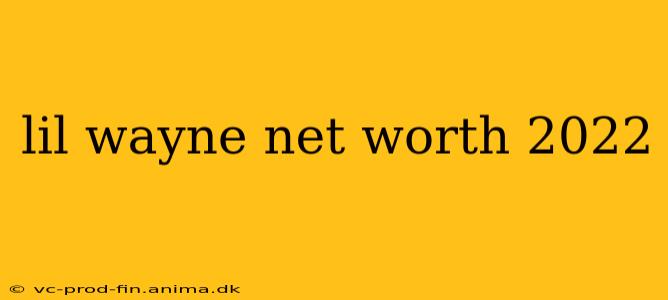 lil wayne net worth 2022