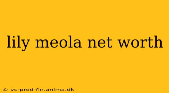 lily meola net worth