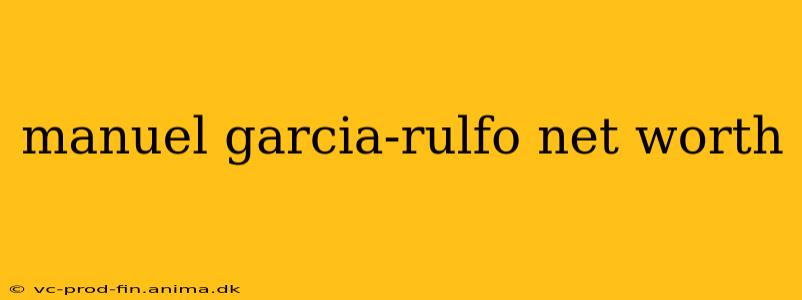 manuel garcia-rulfo net worth