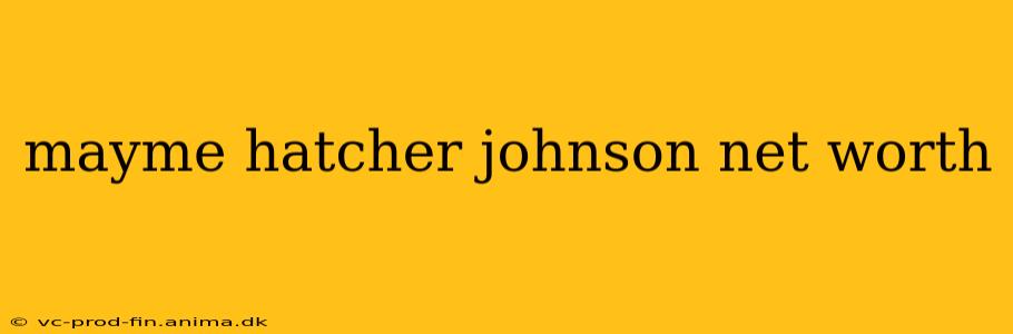 mayme hatcher johnson net worth