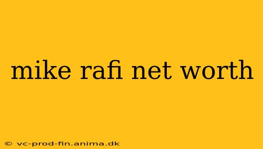 mike rafi net worth