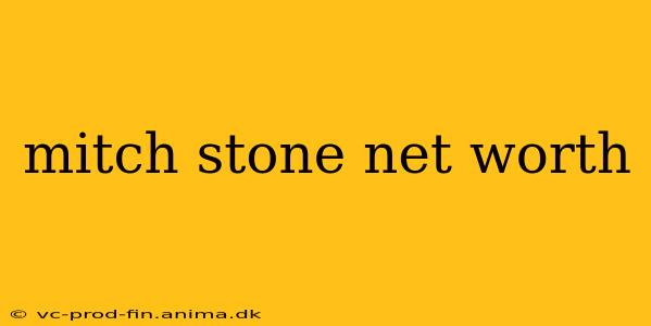 mitch stone net worth