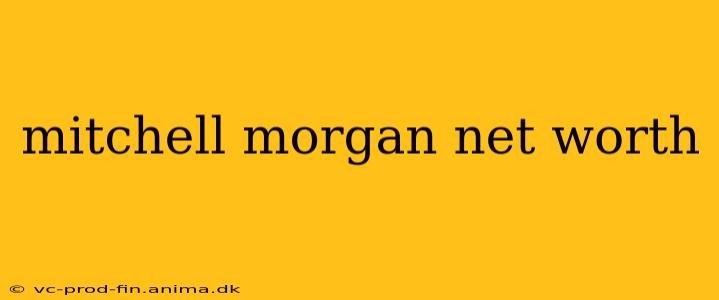 mitchell morgan net worth