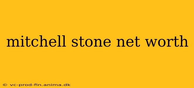 mitchell stone net worth