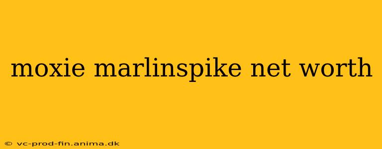 moxie marlinspike net worth