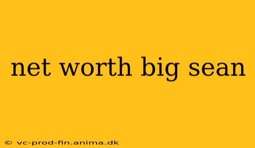net worth big sean