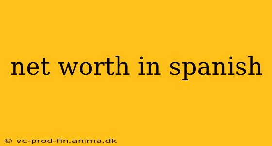 net worth in spanish