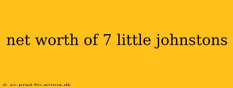 net worth of 7 little johnstons