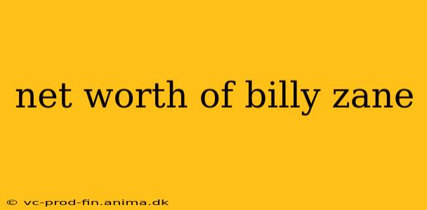 net worth of billy zane
