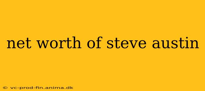 net worth of steve austin