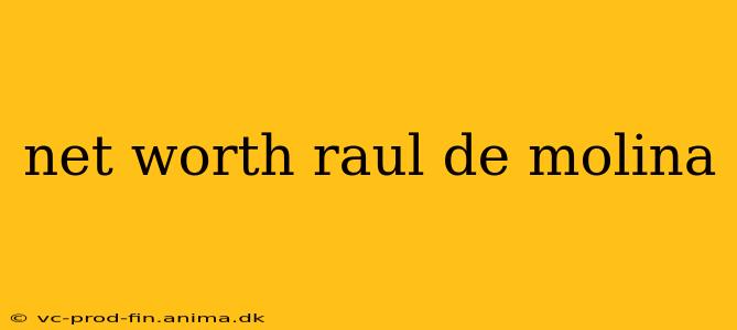 net worth raul de molina