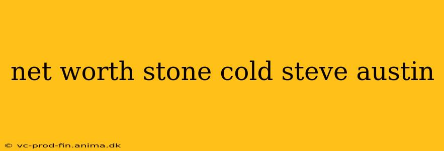 net worth stone cold steve austin