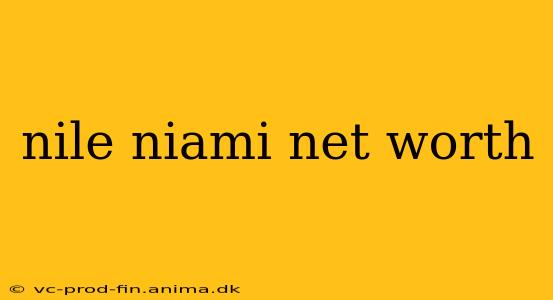 nile niami net worth
