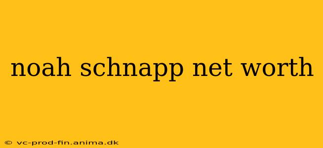 noah schnapp net worth