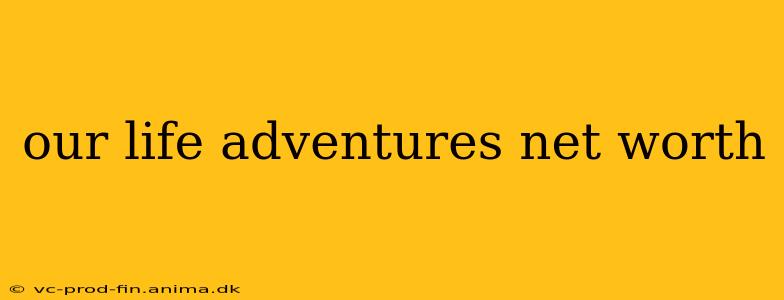 our life adventures net worth