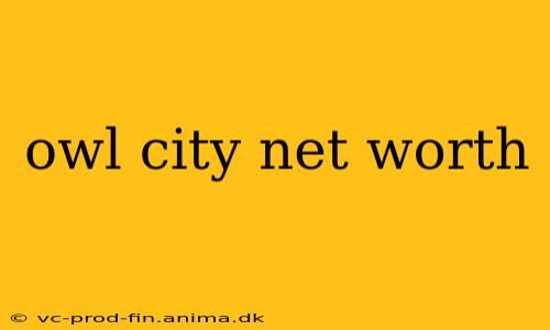 owl city net worth