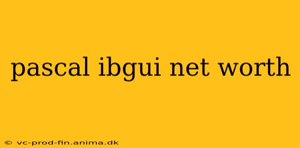pascal ibgui net worth