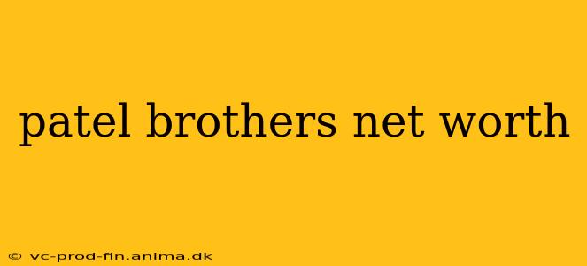 patel brothers net worth