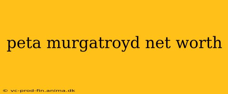 peta murgatroyd net worth