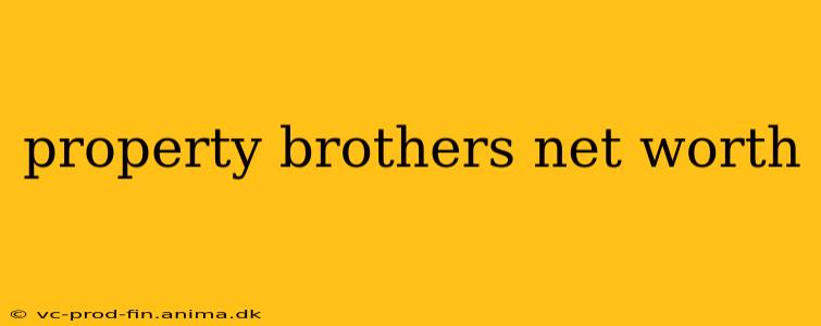 property brothers net worth