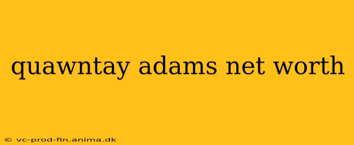 quawntay adams net worth