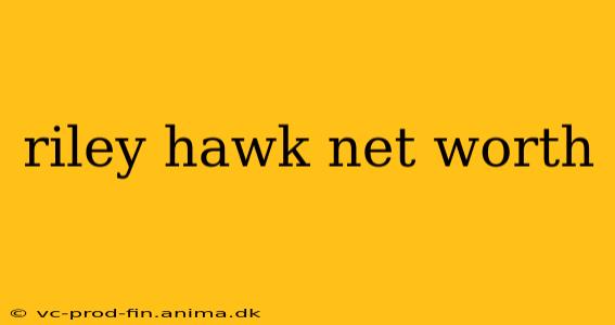 riley hawk net worth