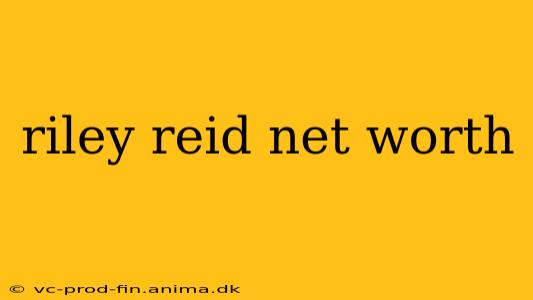 riley reid net worth