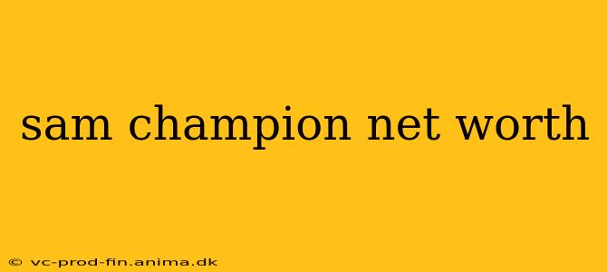 sam champion net worth