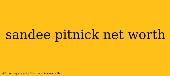 sandee pitnick net worth
