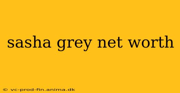 sasha grey net worth