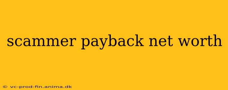 scammer payback net worth