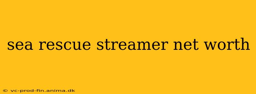 sea rescue streamer net worth