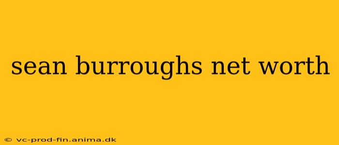 sean burroughs net worth