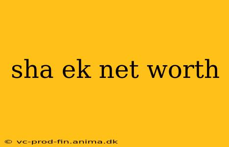sha ek net worth