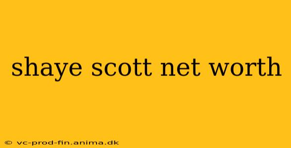 shaye scott net worth