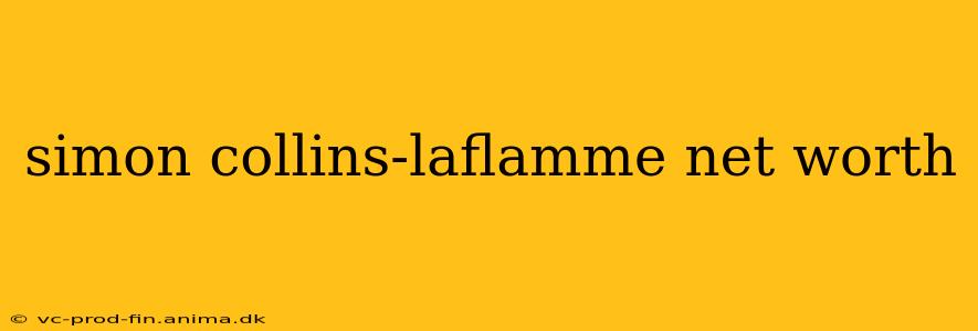 simon collins-laflamme net worth