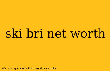 ski bri net worth