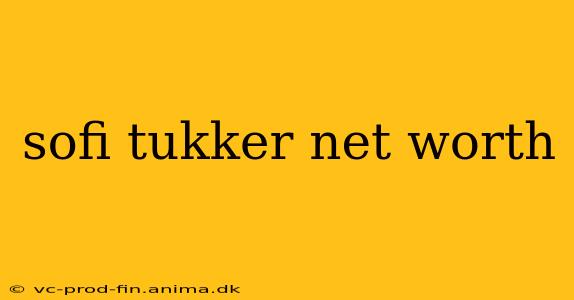 sofi tukker net worth