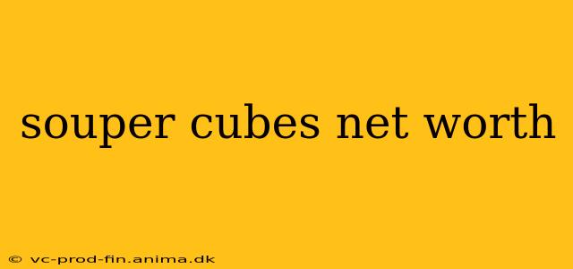 souper cubes net worth