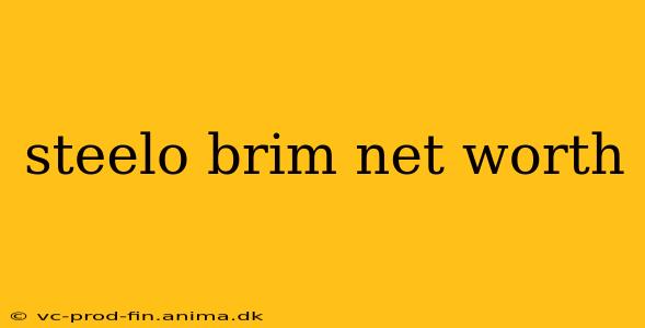 steelo brim net worth