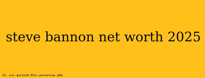 steve bannon net worth 2025